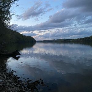 Meet your Posher, Selena